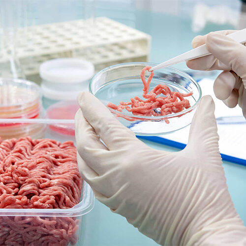 ANALISIS ALIMENTOS