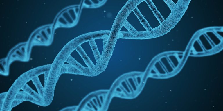 ¿Sabes cuál es la edad verdadera de tu cuerpo?