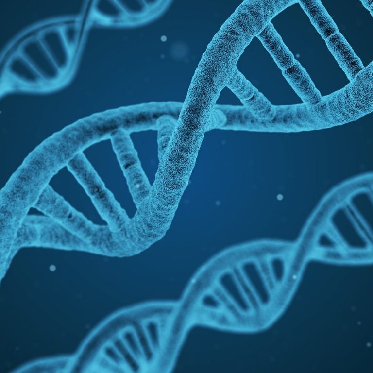 dna-1811955_1920