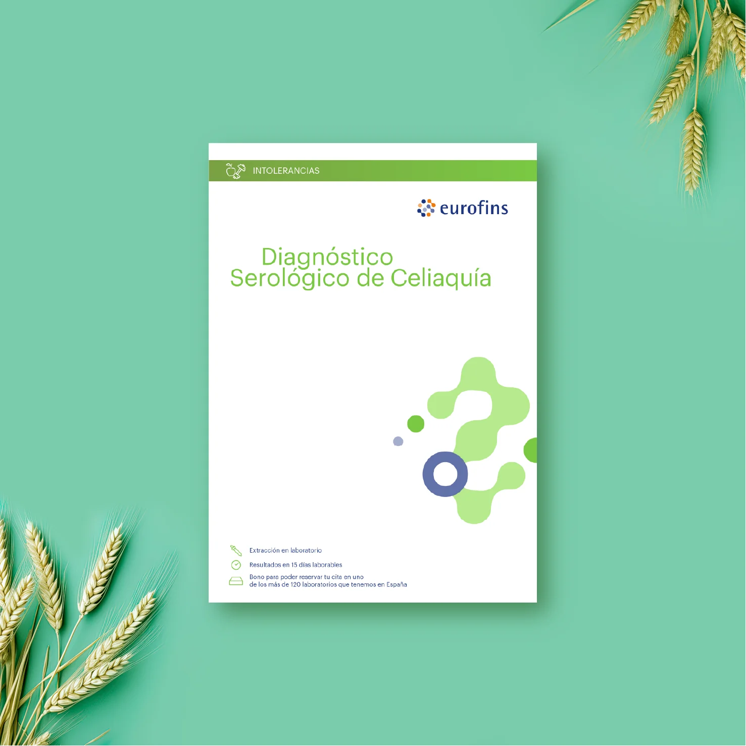 Diagnóstico Serológico de Celiaquía - Imagen 2