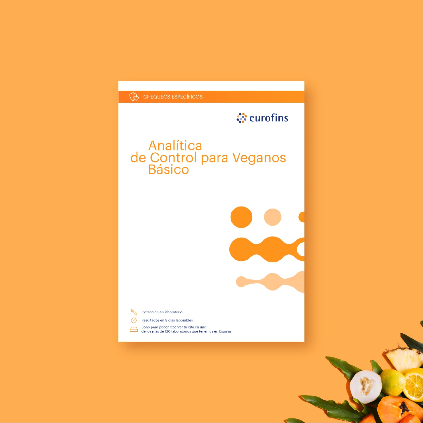 Analítica de Control para Veganos Básico - Imagen 2