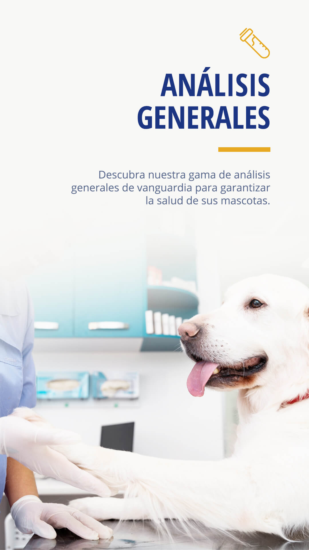analisis-generales-mv-1