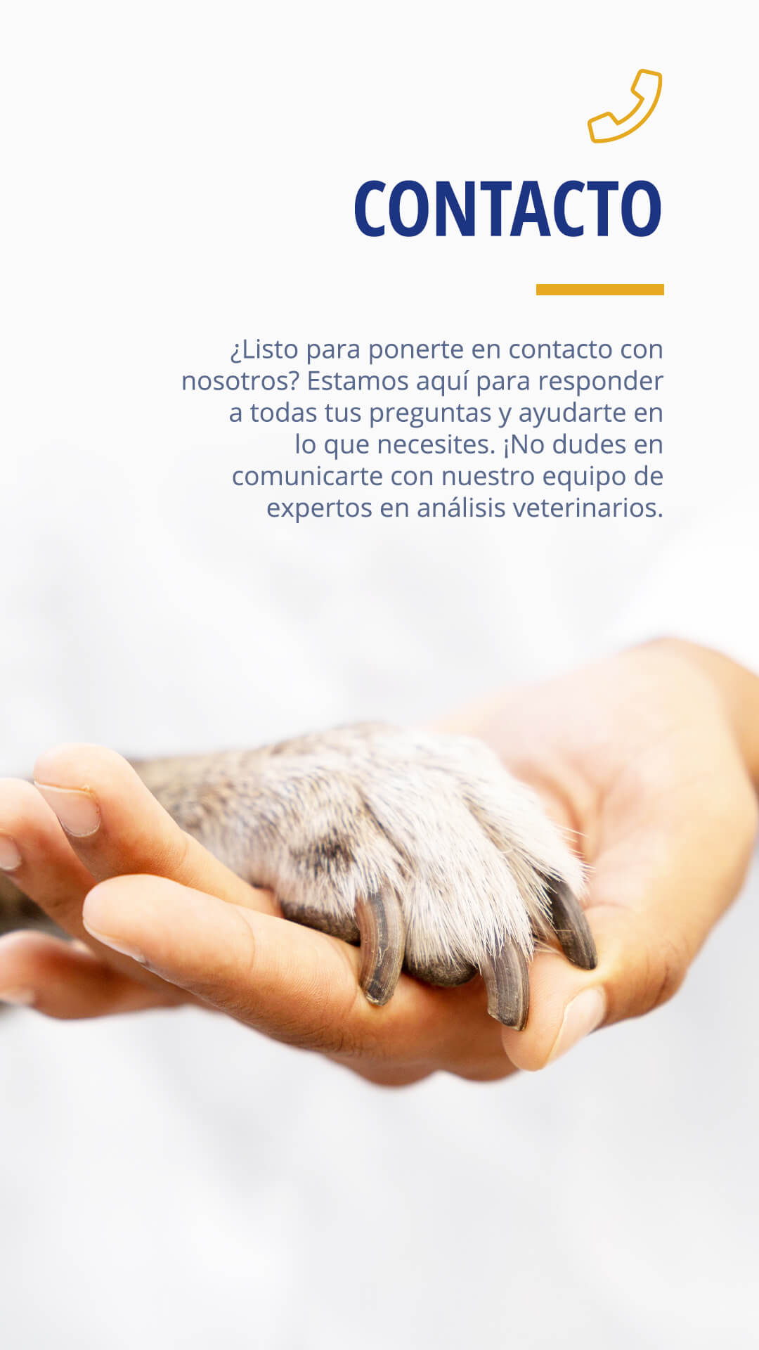 contacto-mv