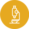 microbiologia microbiologia