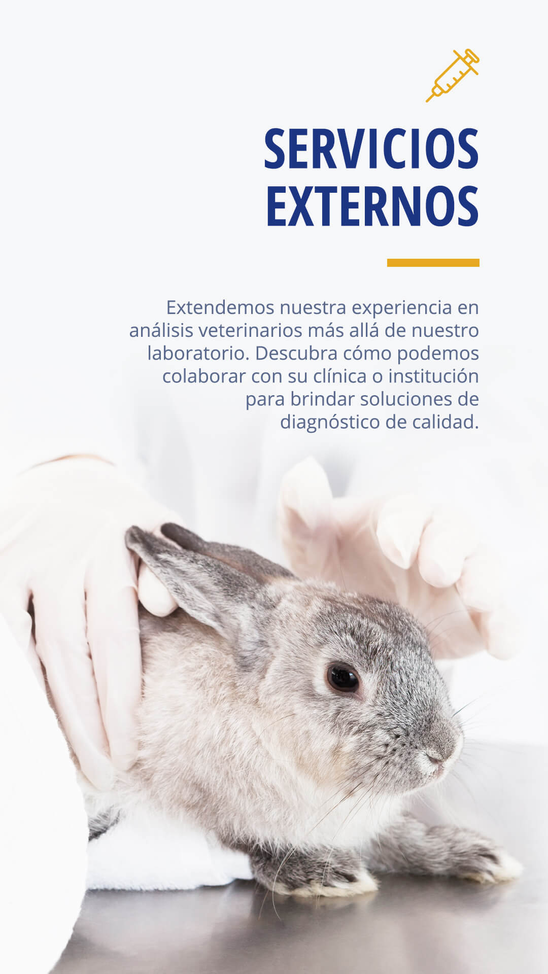 servicios-externos-mv-1