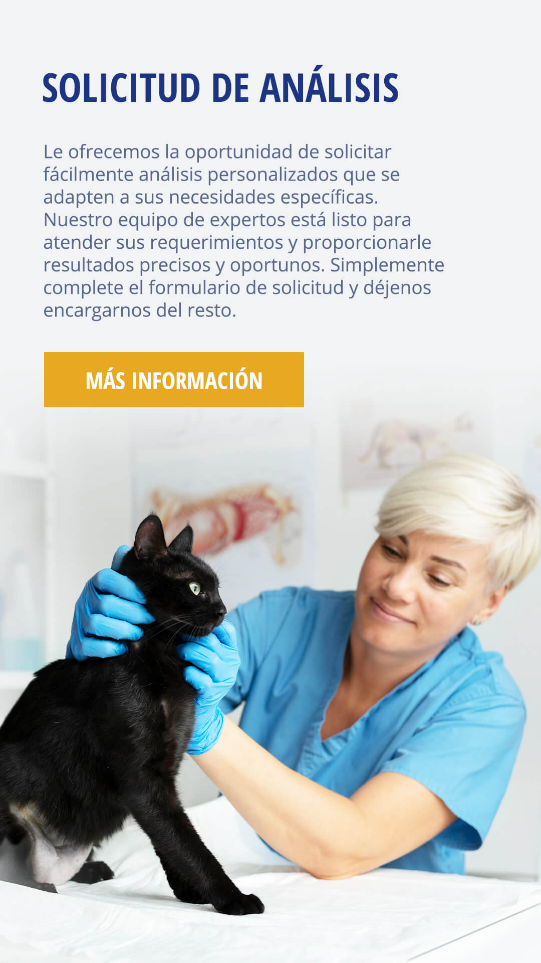 solicitud-mv