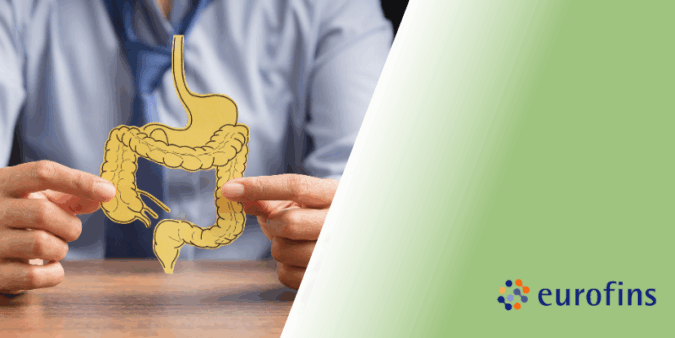 cerveza-microbiota cerveza sin alcohol microbiota
