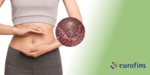 Microbioma bacteriano: qué es, para qué sirve y cómo influye en tu bienestar