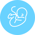 Test Prenatal